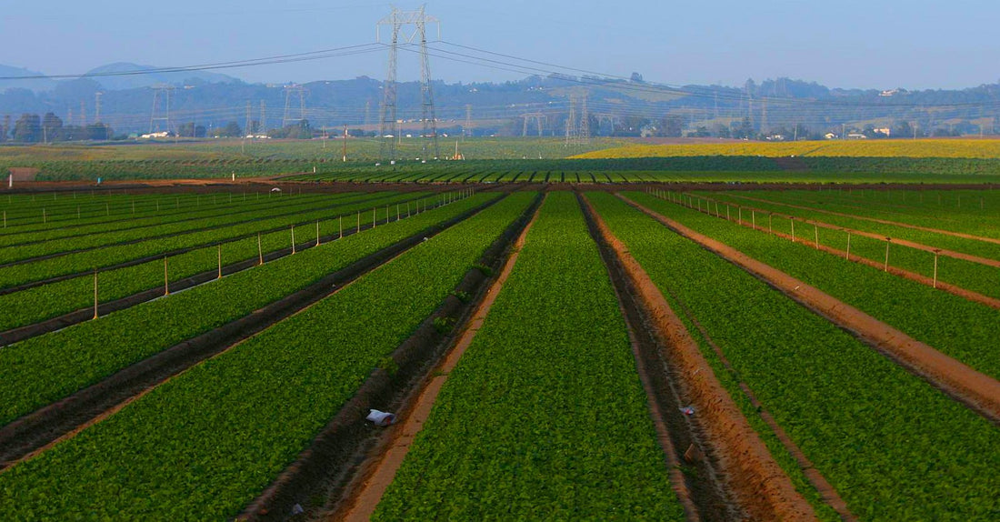 Hardware-Free Farm Health Monitoring