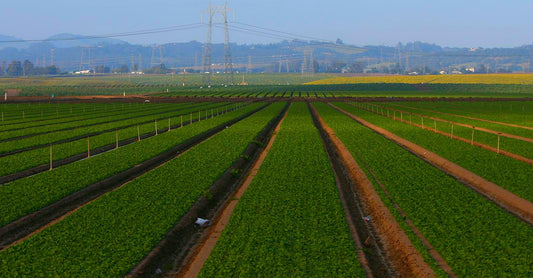 Hardware-Free Farm Health Monitoring