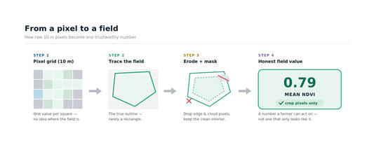 From a Pixel to a Field: Why Field Boundaries Are the Hardest Easy Problem in Agtech